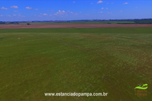 800 Hectares.00_07_09_02.Quadro030_762e2048a87539f2e1435b75c67c3b0cefb803c7.png